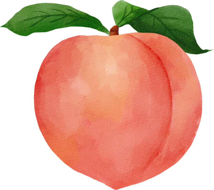 Peach watercolor